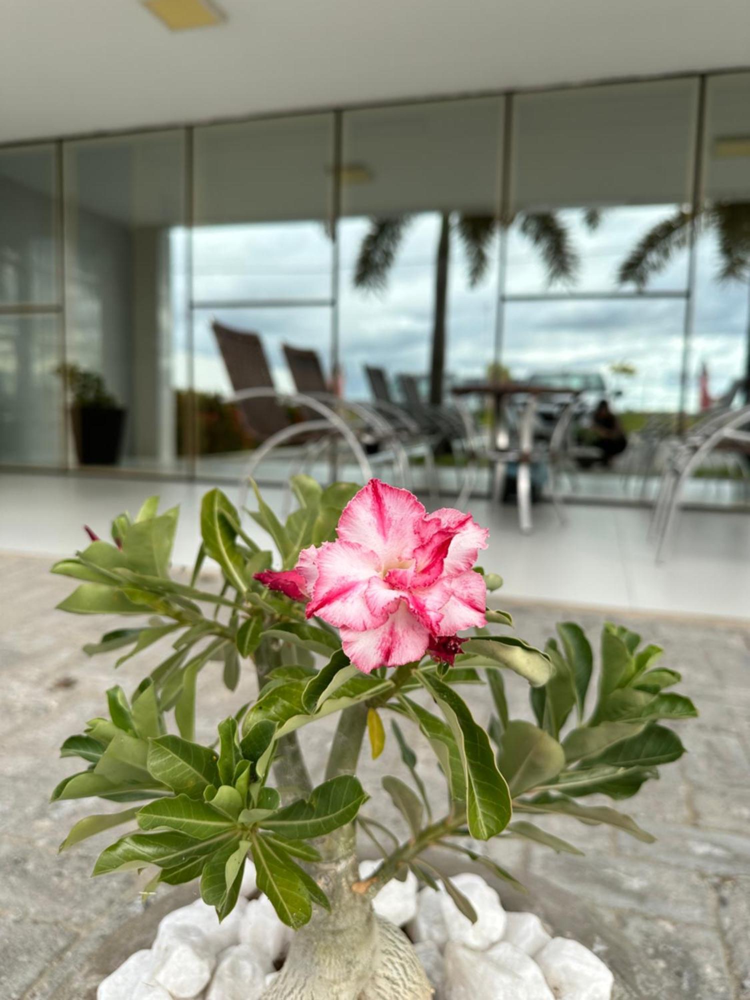 Oásis De Patos (Paraiba)